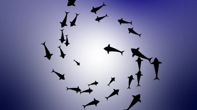 Circular Fish Swarm animation. Animated black fish silhouettes swimming in a circle loop motion graphic.