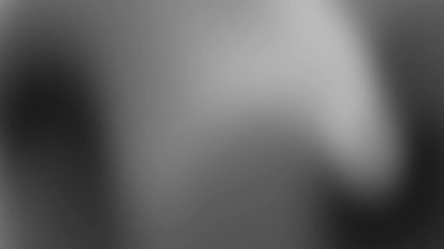 Soft monochrome gradient animation featuring smooth transitions and a refined minimalist style. Ideal for architecture, editorial design, luxury branding, and business presentations