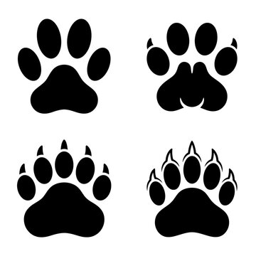 A collection of four distinct animal paw prints in black silhouette style.