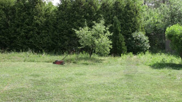4K Lawnmoving Grass in Garden Timelapse