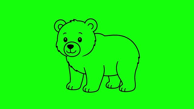 A cute 2D cartoon bear line art outline isolated on a chroma key green background for compositing and video editing.