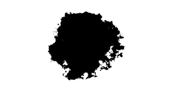 organic grunge paint splat reveal animation, versatile motion graphic element. dynamic abstract black ink blot transition with alpha channel on transparent background.