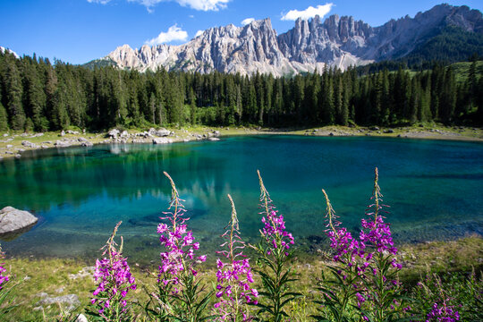 lake and flowers