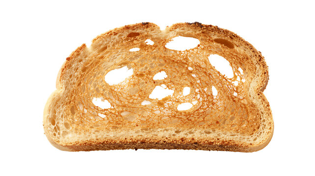 Single slice of golden brown toasted white sandwich bread isolated on pure white background