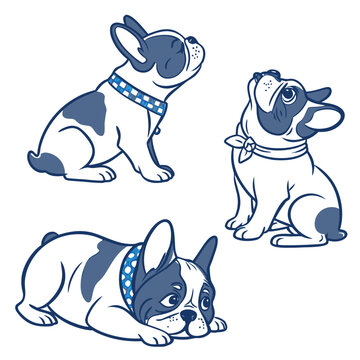 Cute french bulldog puppies in playful poses