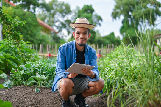 A man practices organic gardening in a vegetable garden, using AI technology to plan food production and understand future food security.