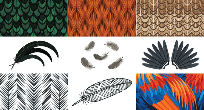 Rooster Feather Pattern and Plumage Texture Collection with Seamless Poultry Backgrounds, Bird Wing Elements, and Decorative Farm Vector Set
