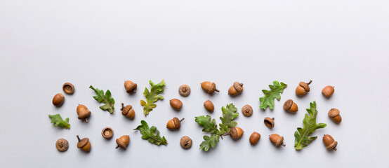Branch with green oak tree leaves and acorns on colored background, close up top view © sosiukin