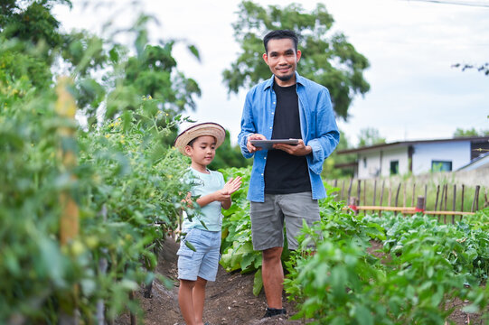 Asian Father and Young Son Using AI Technology in Organic Vegetable Garden Planning Smart Farming for Healthy Food and Future Food Security