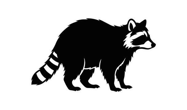 Black and White Silhouette of a Raccoon Standing.