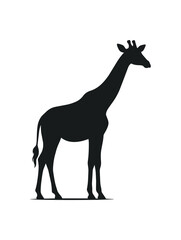 Fototapeta premium Silhouette of a Giraffe Standing Tall.