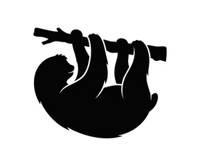 Obraz premium Silhouette of a sloth hanging from a tree branch.