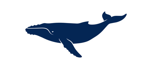Silhouette of a Humpback Whale Swimming Gracefully. © Eighth