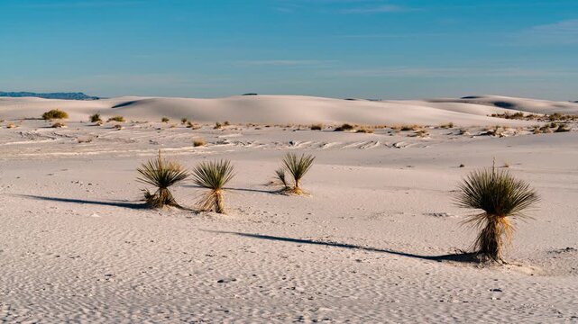 Timelapse of sand dunes at sunset at White Sands National Park in New Mexico, USA