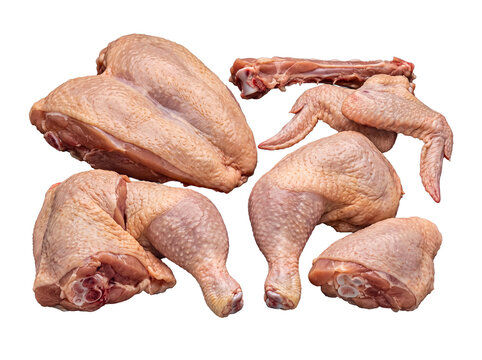 Raw chicken cuts for cooking, including breast, wings, drumsticks, and thighs, on a transparent background.