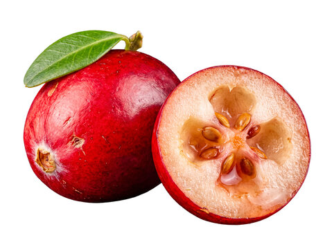 Fresh whole cranberry with a green leaf and a halved cranberry, showcasing its vibrant color and inner details.