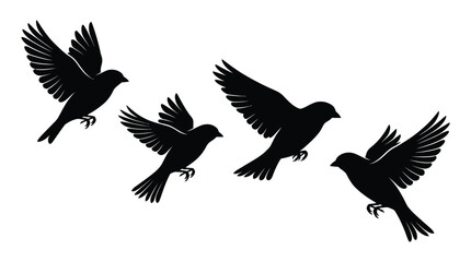 Fototapeta premium Bird silhouettes in flight black shapes against a white background