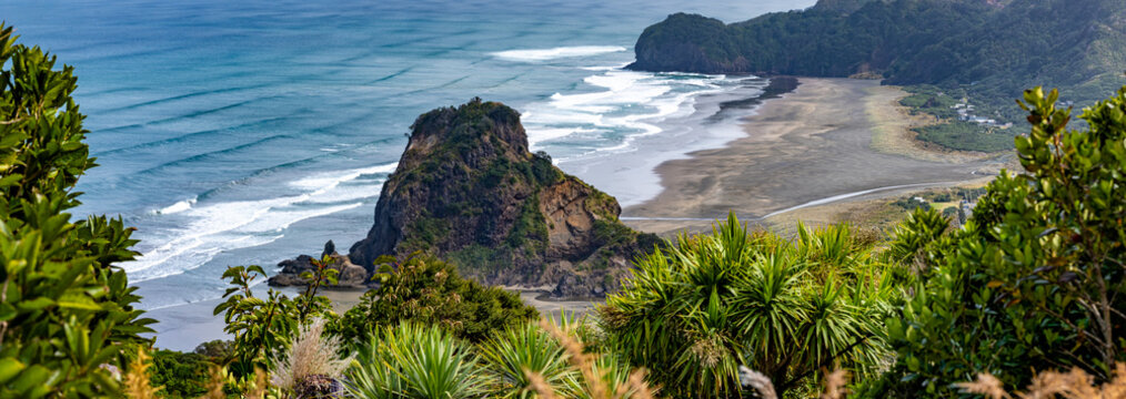 Blick auf Piha Beach und Lion Rock vom Te Ahuahu Lookout mit Kohlb&auml;umen (Cordyline australis), Waitakere Ranges, Auckland, Neuseeland
