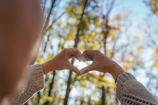 Close up of female hands making a heart shape in autumn forest with sun flare. Love and nature concept.