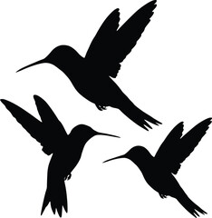 Obraz premium Three black hummingbird silhouettes in flight against a white background, flying