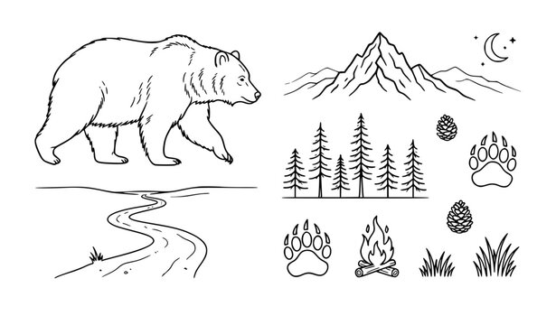 Bear and mountain landscape linear vector illustration, wilderness nature set with pine cones, river path, and bear tracks