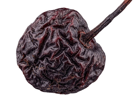Single shriveled dark red fruit with stem, showing detailed wrinkled texture, isolated on transparent background.