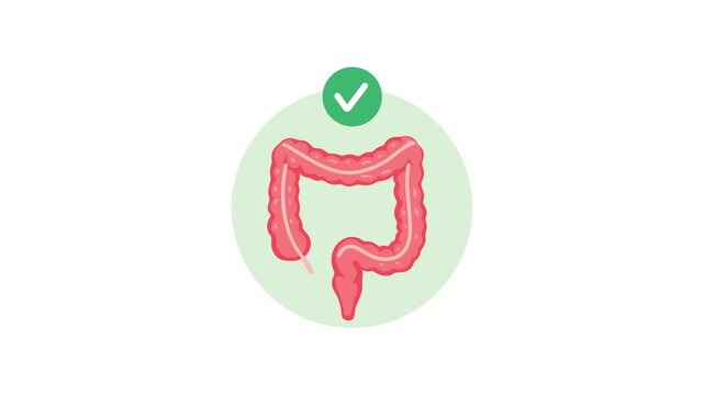 animation of healthy colon digestive system concept
