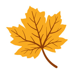 Fototapeta premium Autumn leaf Illustration