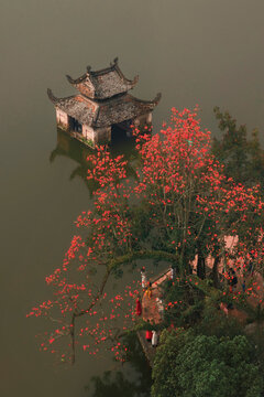 Aerial view of Thay pagoda water pavilion with red silk cotton tree blossoms in Hanoi, Vietnam⁠
