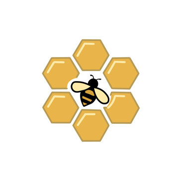 Honeybee on golden honeycomb vector illustration isolated on white background