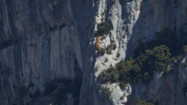 A close-up of a flying griffon vulture in the Verdon Gorge, Gorge du Verdon, in France. The bird is flying through the rocky landscape of the gorge. Steep cliffs plunge into the depths.