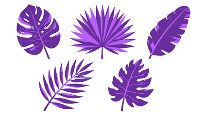 Set of purple tropical leaf silhouettes on white background © Andrei