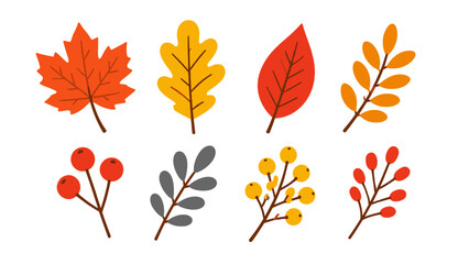 Colorful autumn leaves and berry branches vector set © Andrei