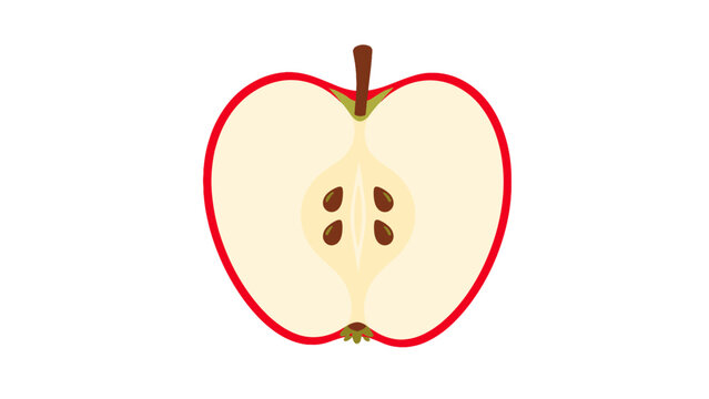 Halved red apple with seeds isolated on white background