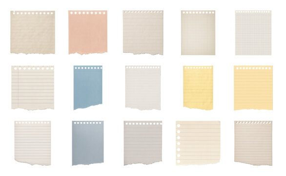 PNG Variety of torn notebook papers on transparent background