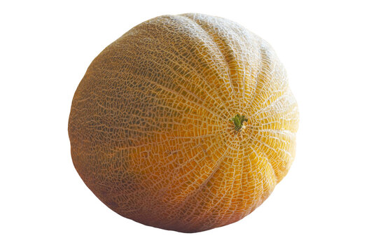 A high-quality studio shot of a single whole ripe cantaloupe muskmelon isolated on a pure white background. Features a detailed textured netted rind skin. Perfect for food styling, healthy summer diet