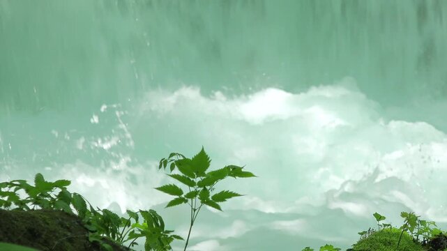 奥入瀬渓流、青森、日本