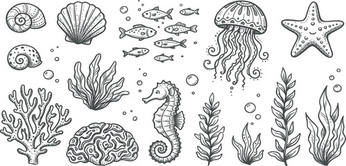 Hand Drawn Underwater Sea Life Collection with Seashells Jellyfish Seahorse Coral and Seaweed Black and White Vintage Vector Illustration © creative bithi