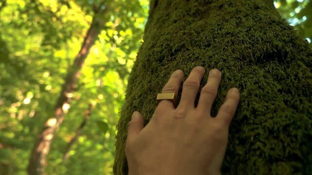 Hand wearing a gold ring touches the rough mossy bark of a tree trunk in a sunlit forest.