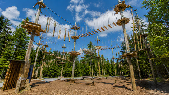 Outdoor adventure park with elevated rope course wooden platforms and obstacle bridges surrounded by forest ideal for recreation team building and family activities