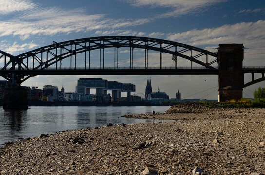 der Rhein bei niedrigen Wasserstand mit Dom und Kranh&auml;usern im Hintergrund