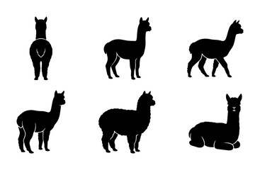 Obraz premium Alpaca Silhouette Collection, Six Vector Poses, Black Animal Icons for Design Projects, Farm Livestock Graphics