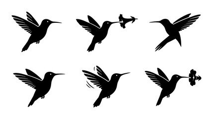 Fototapeta premium Hummingbird Silhouette Set: Six Dynamic Poses, Vector Graphics for Nature and Wildlife Design