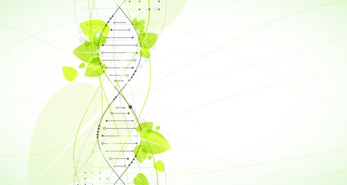 Abstract green eco DNA helix with digital plexus network and organic leaves. Vector illustration