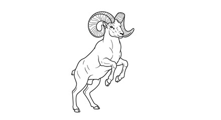 Obraz premium Detailed black and white line art illustration of a wild bighorn sheep ram standing alert on its hind legs with impressive curved horns.