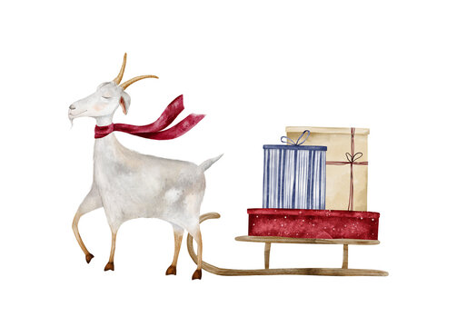 Watercolor illustration of Christmas goat with red scarf and pulling wooden sled loaded with gift boxes wrapped in striped blue, beige, dotted red paper. For seasonal clip art, cards and banners