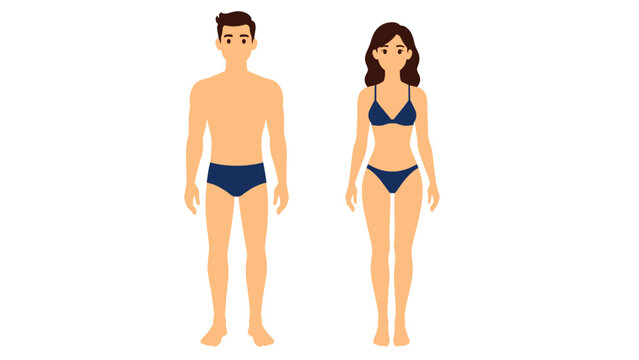 Front view of man and woman standing in underwear vector