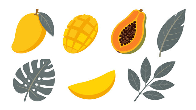 Tropical fruit and leaf vector set with mango and papaya