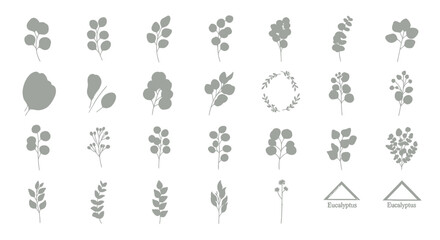 Set of various monochrome botanical silhouettes and eucalyptus leaves illustrations. © Ikbalizt