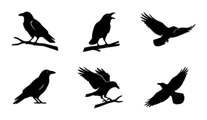 Fototapeta premium Raven Silhouettes Collection, Six Black Bird Icons, Flying and Perched Crow Vector Graphics, Gothic and Mystical Avian Elements